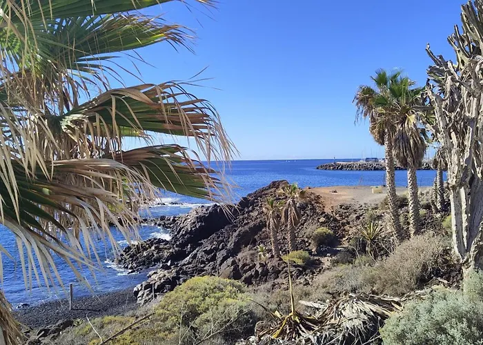 Surf Harbour