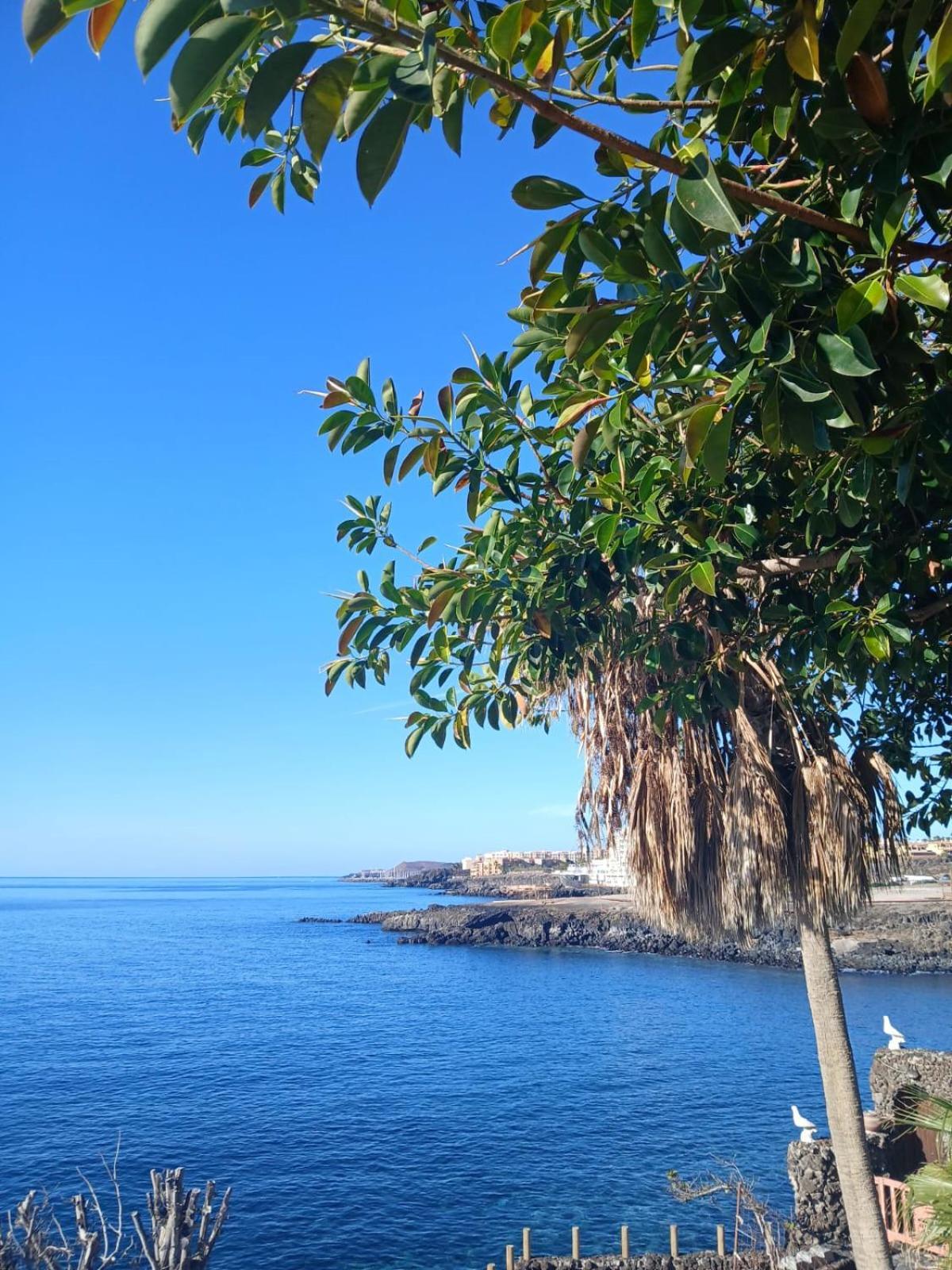 Surf Harbour Homestay